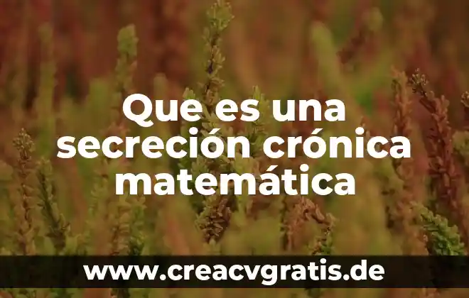 Que es monto y capital en matematica financiera 7 Que es una secreción crónica matemática