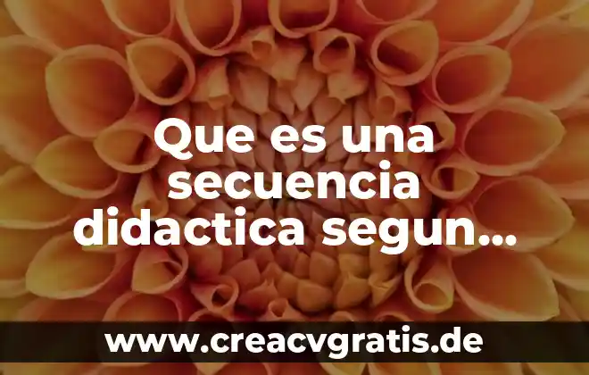 Que es la polisemia segun la dra frida diaz barriga 3 Que es una secuencia didactica segun angel diaz barriga