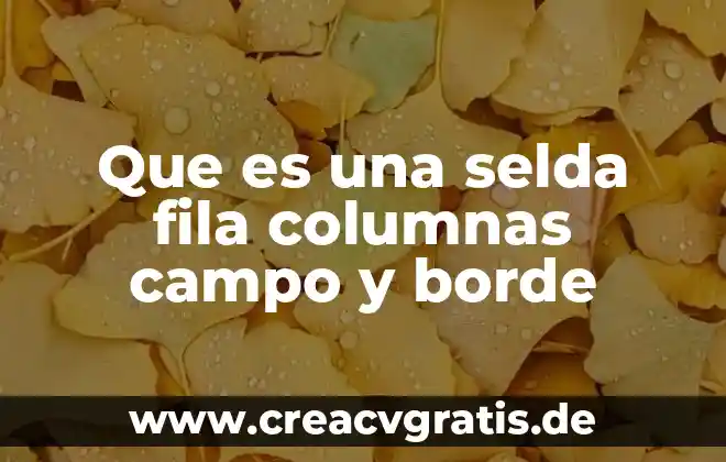 Que es un campo de golf link 4 Que es una selda fila columnas campo y borde