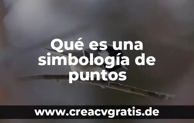 Puntos resolutivos en un amparo que es 7 Qué es una simbología de puntos