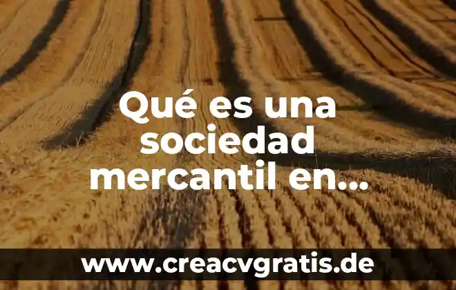 Qué es la quita en derecho mercantil 8 Qué es una sociedad mercantil en contabilidad
