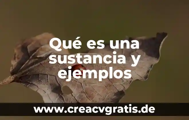 Que es un contrato tipos de contrato y ejemplos 7 Qué es una sustancia y ejemplos