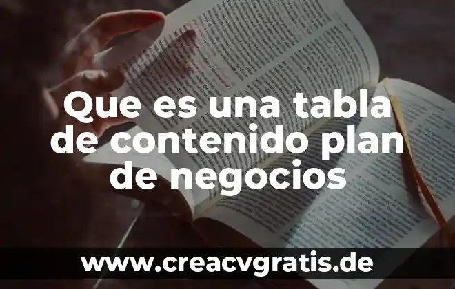 Que es concepto de negocios y antecedentes 8 Que es una tabla de contenido plan de negocios