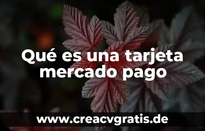 Que es un pago tef 8 Qué es una tarjeta mercado pago