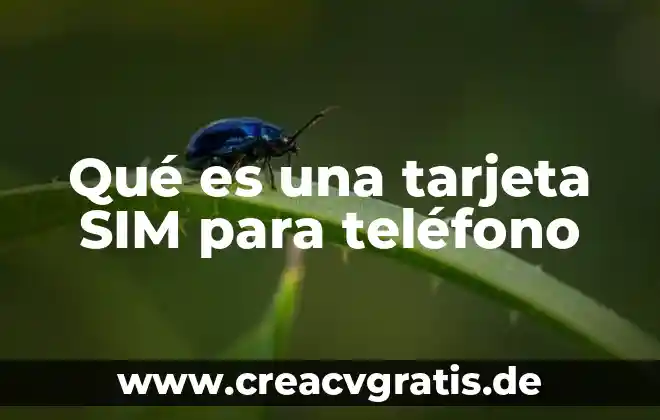 Que es una tarjeta r4 3 Qué es una tarjeta SIM para teléfono