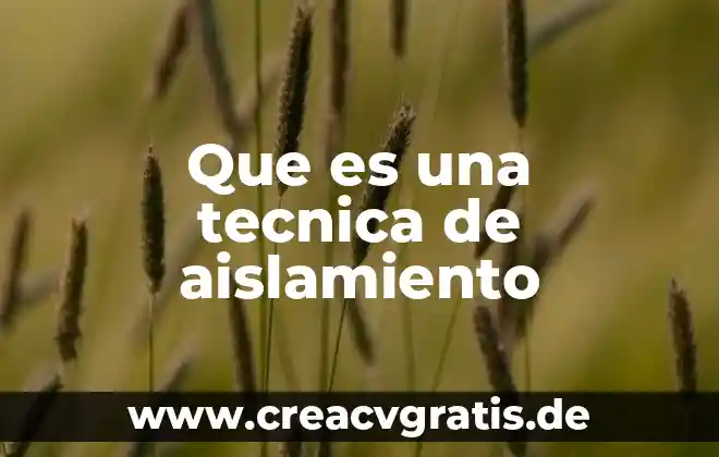 ¿Qué es un aislamiento y qué tipos hay? 7 Que es una tecnica de aislamiento