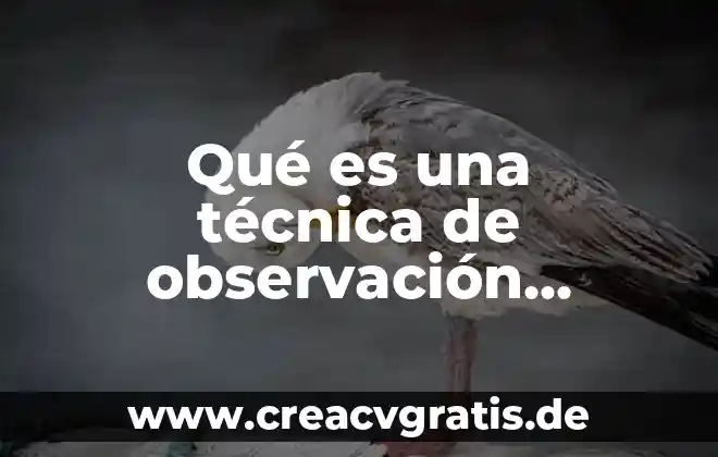 Qué es la técnica para analizar los textos 3 Qué es una técnica de observación participativa