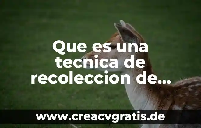 Que es la recoleccion de agua de lluvia 3 Que es una tecnica de recoleccion de informacion