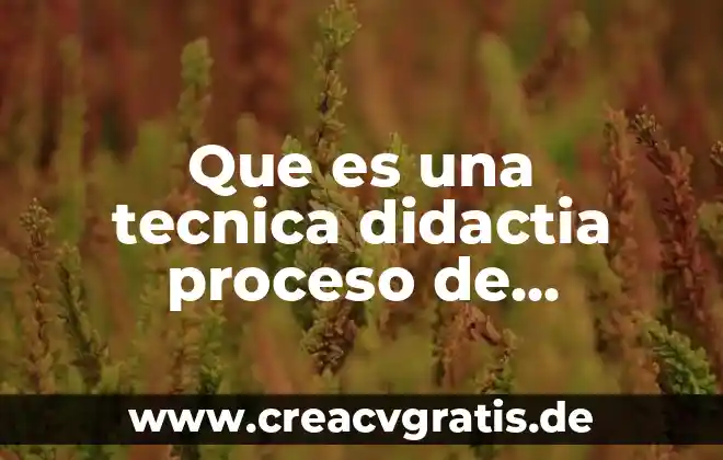 Qué es una sita y los tipos de sitas 5 Que es una tecnica didactia proceso de capacitacion