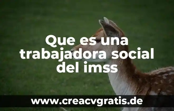 Que es planificacion economica y promocion social 6 Que es una trabajadora social del imss
