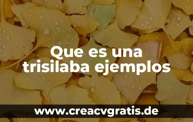 Que es nombres propios y comunes y ejemplos 8 Que es una trisilaba ejemplos