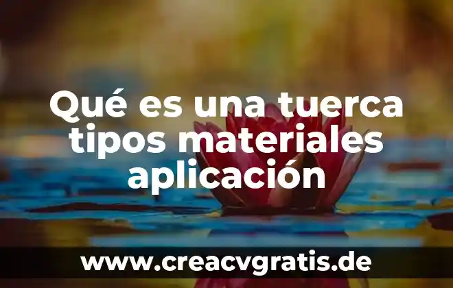 Que es servicio de restaurante y tipos 7 Qué es una tuerca tipos materiales aplicación