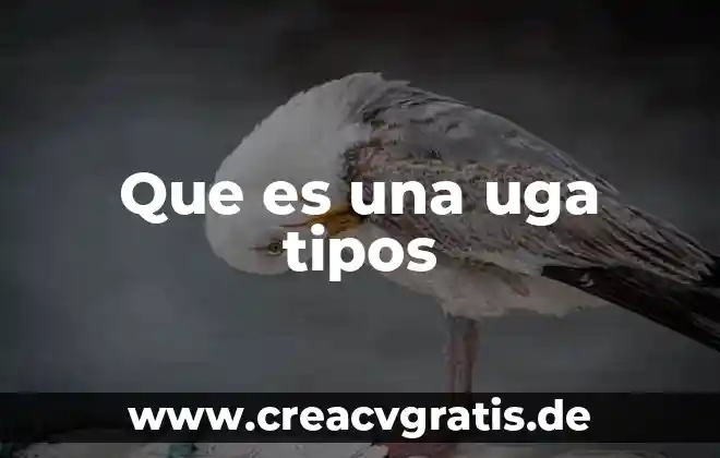 Que es la comunicacion tipos ejemplificados 7 Que es una uga tipos