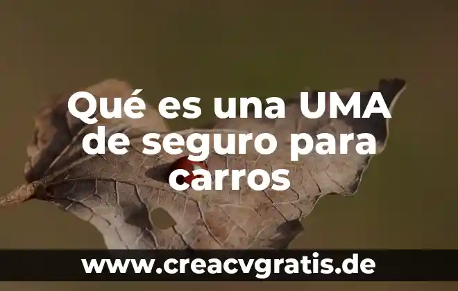 Número de seguro social último número que es 6 Qué es una UMA de seguro para carros