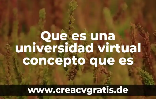 Qué es la macroestructura de un texto universidad 8 Que es una universidad virtual concepto que es