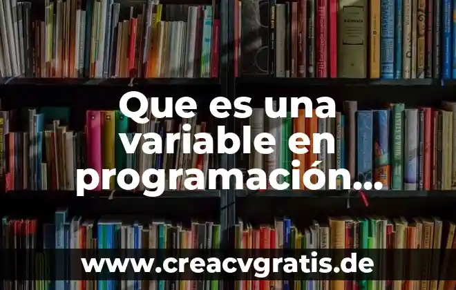 Qué es una variable como número generalizado 3 Que es una variable en programación orientada a objetos