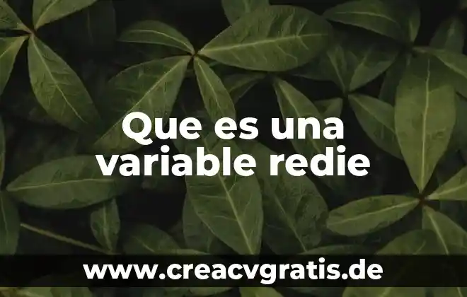 Que es una variable spss 5 Que es una variable redie