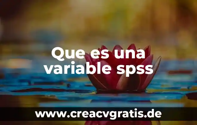 Que es una variable sobre vph 3 Que es una variable spss