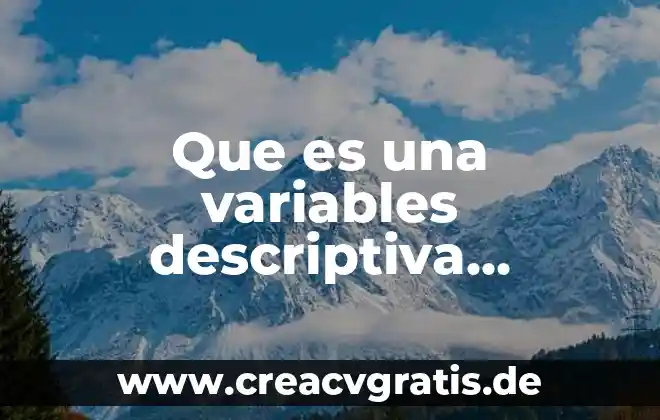 Qué es un compuesto inorgánico definición 6 Que es una variables descriptiva sociodemograficas definicion