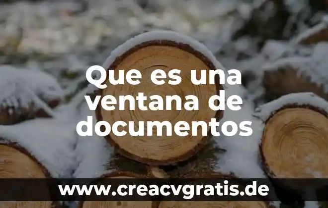 Periodo ventana que es 6 Que es una ventana de documentos