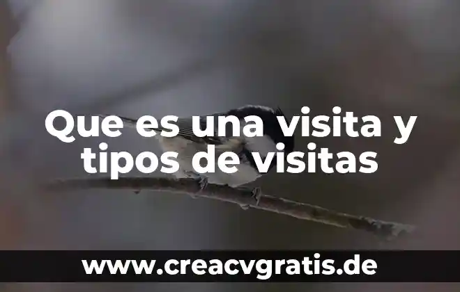 Que es ejido y tipos de ejidos 4 Que es una visita y tipos de visitas