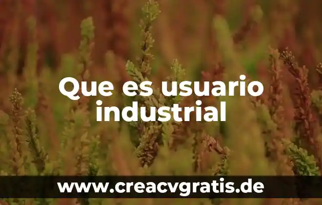 Que es una hoja de proceso en ingenieria industrial 8 Que es usuario industrial