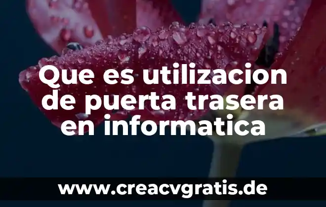 Que es la cardinalidad de las relaciones en informatica 7 Que es utilizacion de puerta trasera en informatica
