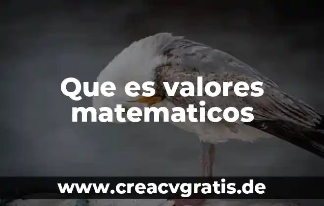 Que es minimo en modelos matemáticos 4 Que es valores matematicos