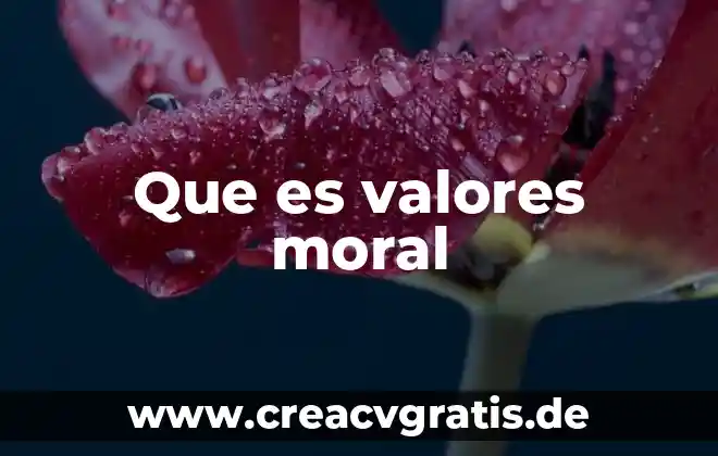 Por que es importante ser moral 4 Que es valores moral