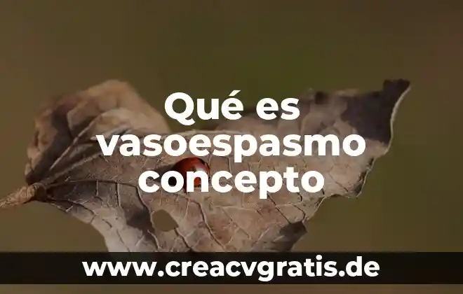 Perspicacia que es significado y concepto 4 Qué es vasoespasmo concepto