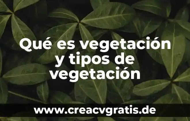 Que es el relieve agua clima vegetacion y fauna 5 Qu茅 es vegetaci贸n y tipos de vegetaci贸n