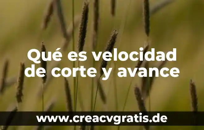 Que es velocidad y sus tipos en fisica 6 Qué es velocidad de corte y avance