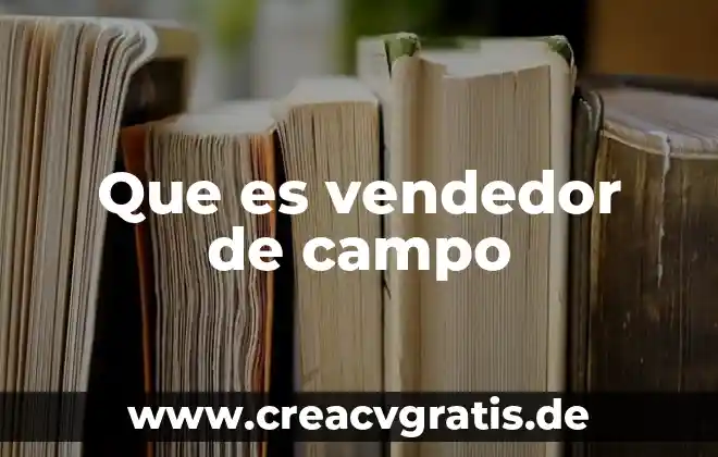 Que es un vendedor y que tipos 3 Que es vendedor de campo
