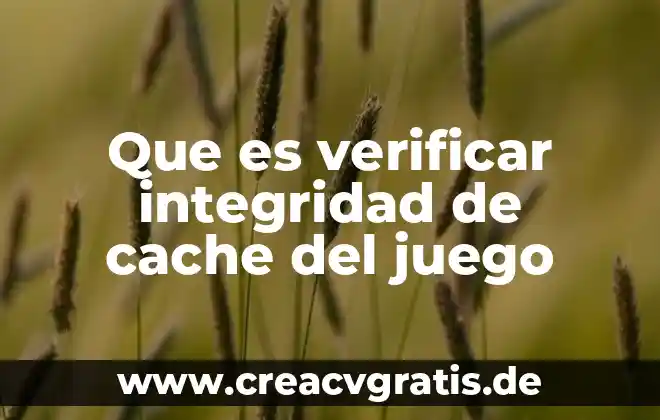 Que es el juego tochito bandera 7 Que es verificar integridad de cache del juego