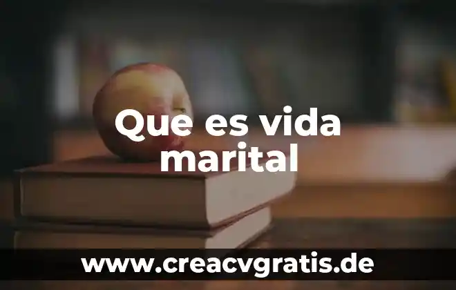 Qué es la visión para un proyecto de vida 7 Que es vida marital
