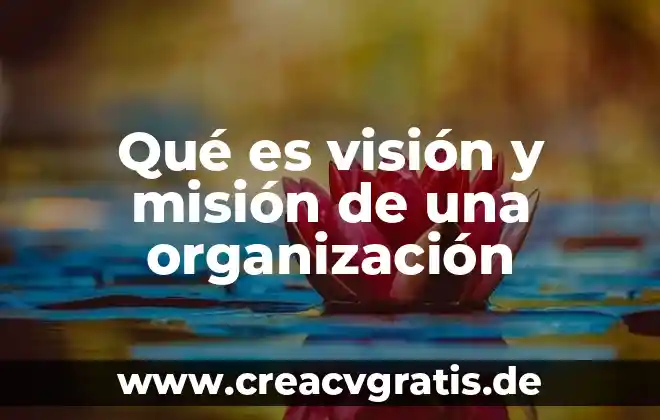 Qué es la misión ejemplos 5 Qué es visión y misión de una organización