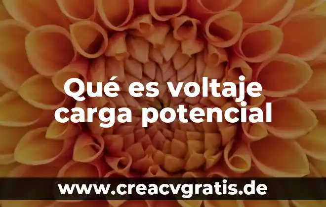Que es una carga concentrada o puntual 6 Qué es voltaje carga potencial