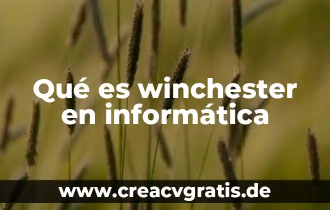 Que es cargar en informatica 5 Qué es winchester en informática