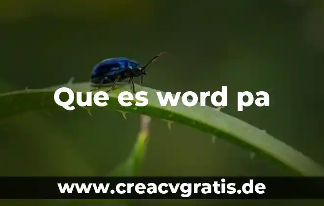 Que es una hoja de calculo y tipos inform 8 Que es word pa