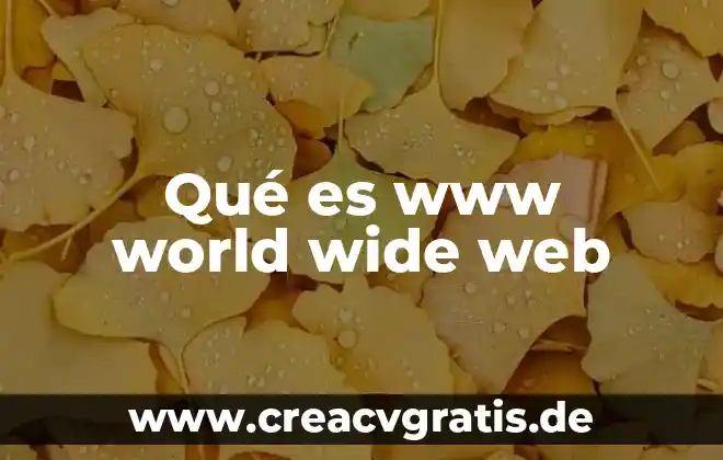 World wide web tipos que es 3 Qué es www world wide web