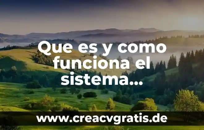 Que es un sistema numerico octal 5 Que es y como funciona el sistema circulatorio