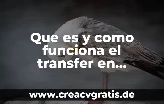 Que es el subconsciente y como funciona 4 Que es y como funciona el transfer en hospitales