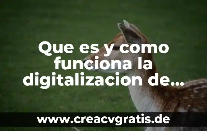 Que es el subconsciente y como funciona 7 Que es y como funciona la digitalizacion de los documentos