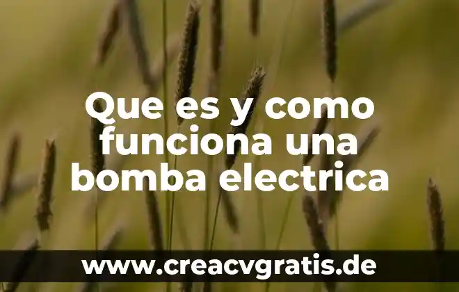 Bomba de agua que es de los limpiaparabrisas 3 Que es y como funciona una bomba electrica