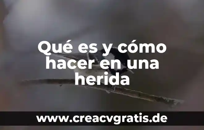 Qué es el número de Avogadro porque hay hacer estadísticas 6 Qué es y cómo hacer en una herida