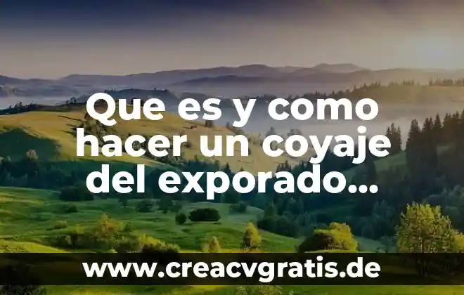 Que es hacer escala en un vuelo 5 Que es y como hacer un coyaje del exporado widows
