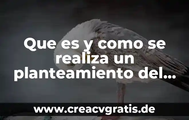 Que es polvo de agua 6 Que es y como se realiza un planteamiento del problema