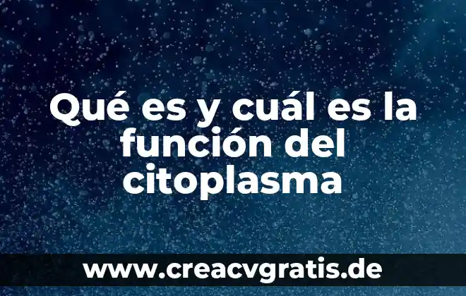 Que es nanotecnologia y cual es significado 8 Qué es y cuál es la función del citoplasma