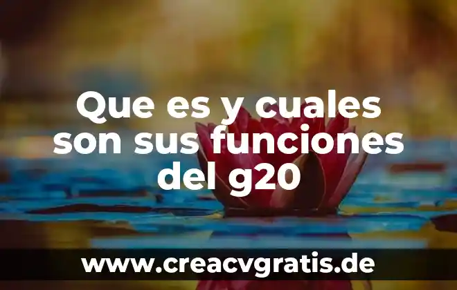 Que es la materia prima y cuales son 5 Que es y cuales son sus funciones del g20