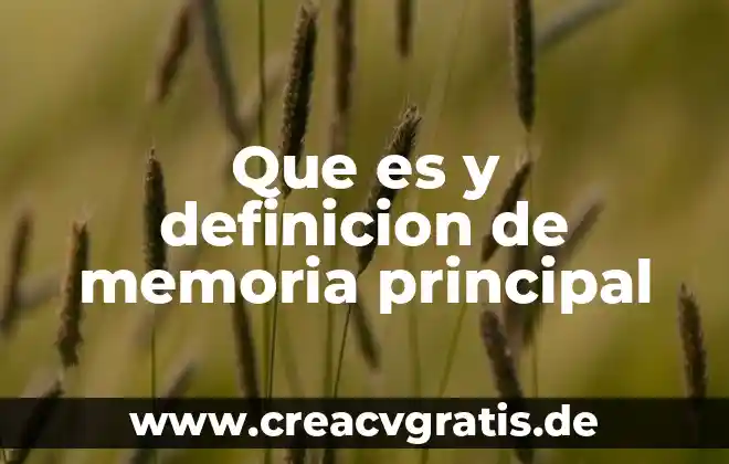 Qué es una célula procariótica definición 7 Que es y definicion de memoria principal